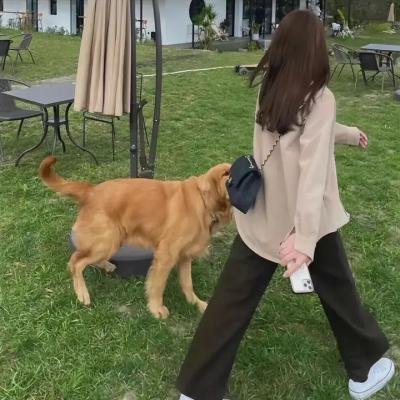 七小福再出击 海报