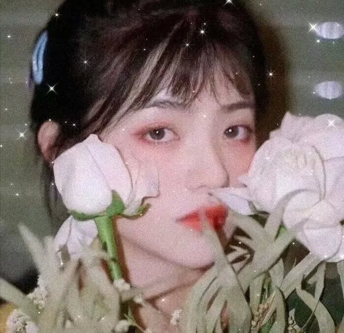 最后的歌舞女郎 海报